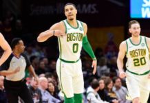 Teñida de verde – resumen del 26/3