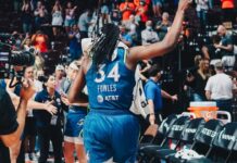 Las zapatillas personalizadas de Sylvia Fowles