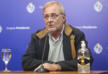 Ricardo Vairo: “Estamos por armar un plan para trabajar en sintonía con FIBA”