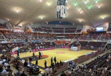 Unos Leones con piel de Oveja Leones de Ponce es el próximo desafío de Sergio Hernández y es tiempo de conocer sus integrantes.