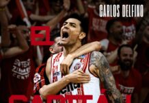 La vigencia de Carlos Delfino: seguirá en el Benedetto XIV de Italia Carlos Delfino seguirá en el Cento.